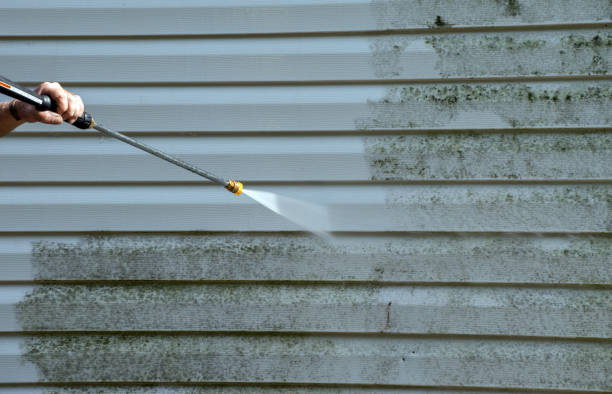 Best Driveway Cleaning and Restoration in Lavon, TX